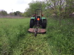 Shredding and Mowing